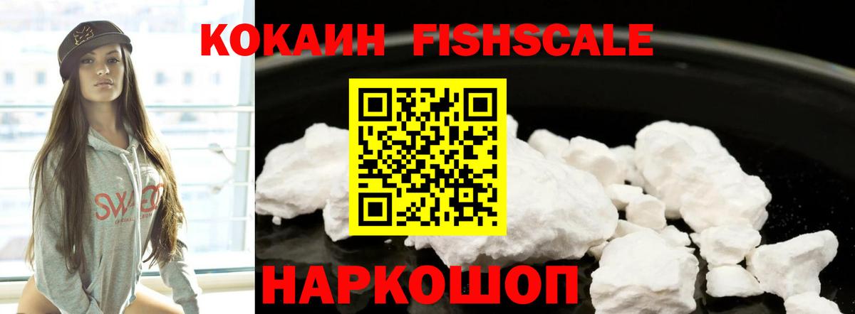 Чехов  Cocaine Fish Scale  КОКАИН  Вход с VPN 